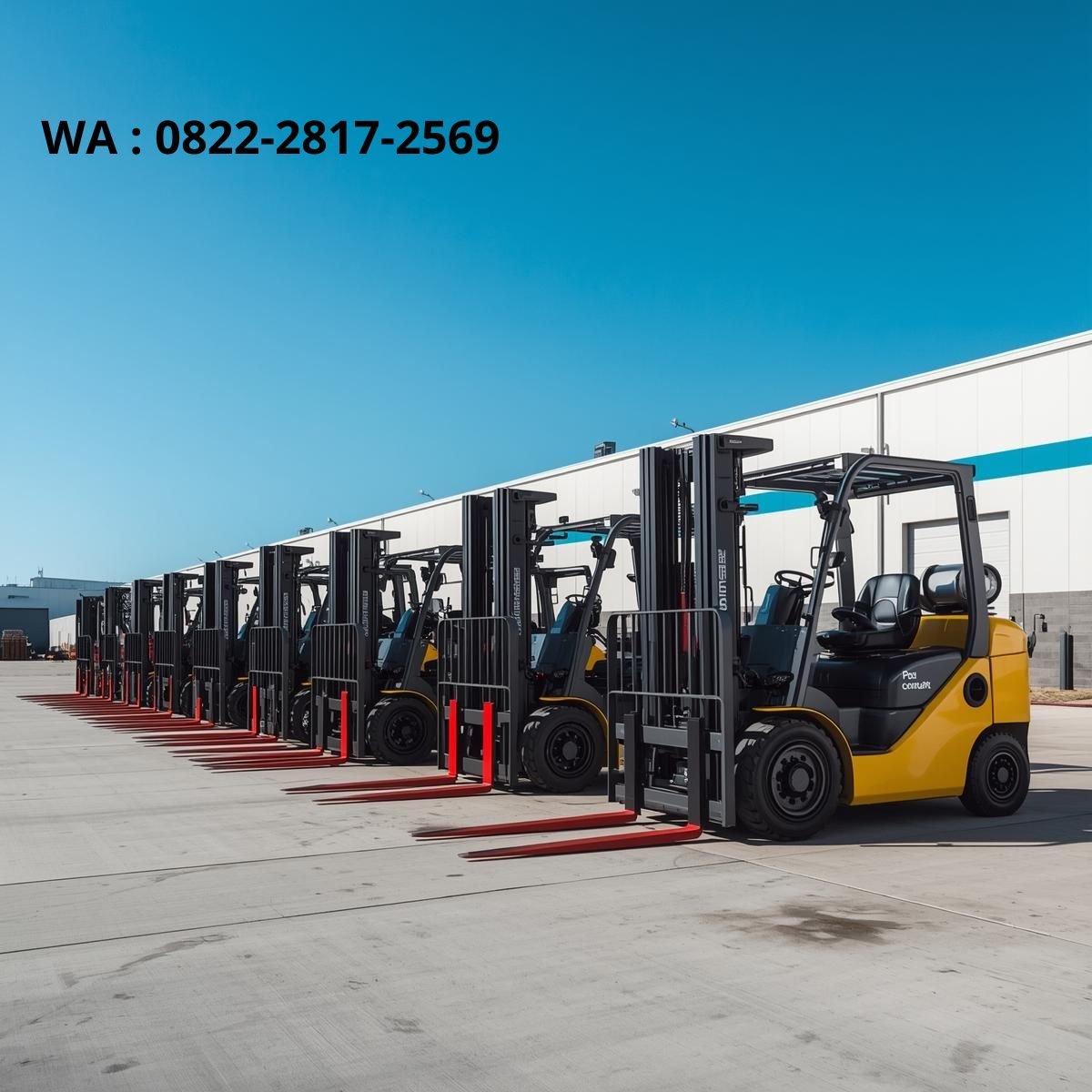 jasa sewa forklift murah profesional